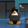 100+ Полезных команд Linux